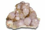 Sparkling Cactus Amethyst Crystal Cluster - South Africa #301881-1